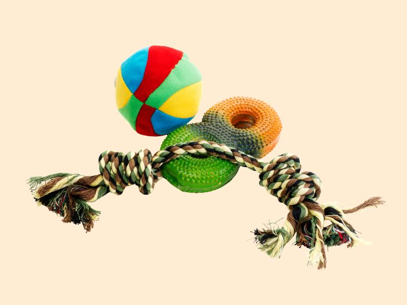 Jouets - Chiens