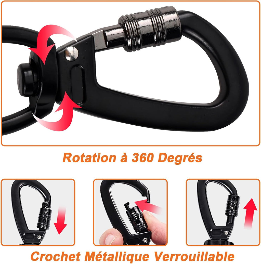 Laisse pour chien - Longe de dressage pour chien avec poignée rembourrée