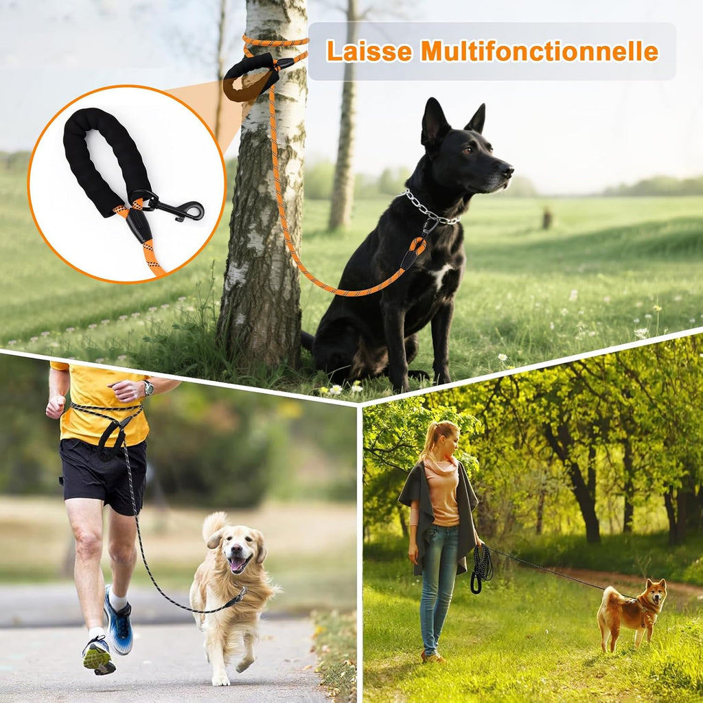 Laisse pour chien - Longe de dressage pour chien avec poignée rembourrée