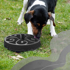 Gamelle Anti-Glouton Chien et Chat – Eat Slow Live Longer Original
