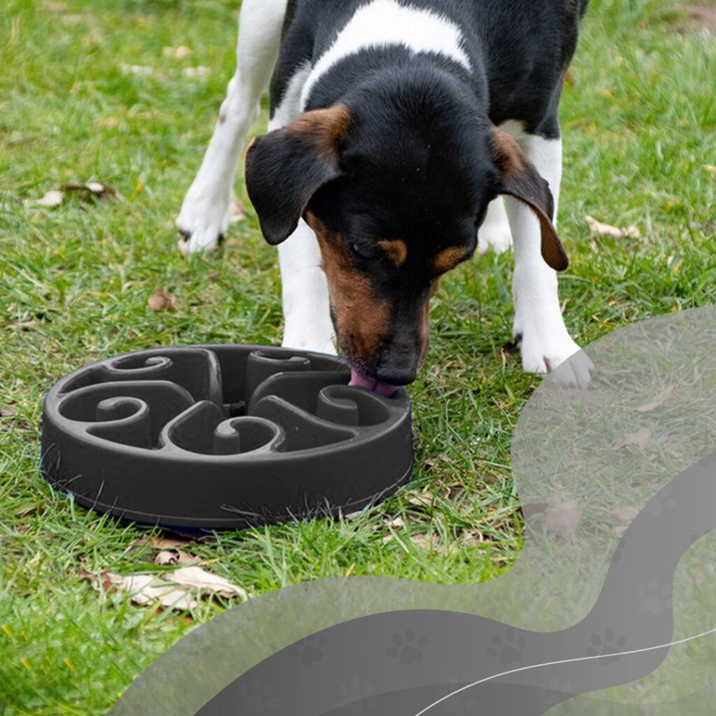Gamelle Anti-Glouton Chien et Chat – Eat Slow Live Longer Original