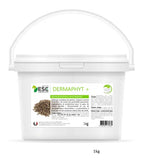 DERMAPHYT + – Anciennement Hippo Dermites – Démangeaisons & confort cutané du cheval