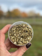 Échinacée 100 % pure – Défenses naturelles du cheval