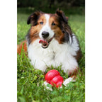 KONG Classic – Jouet à Mâcher et à Garnir pour Chien