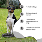 Gamelle Anti-Glouton Chien et Chat – Eat Slow Live Longer Original