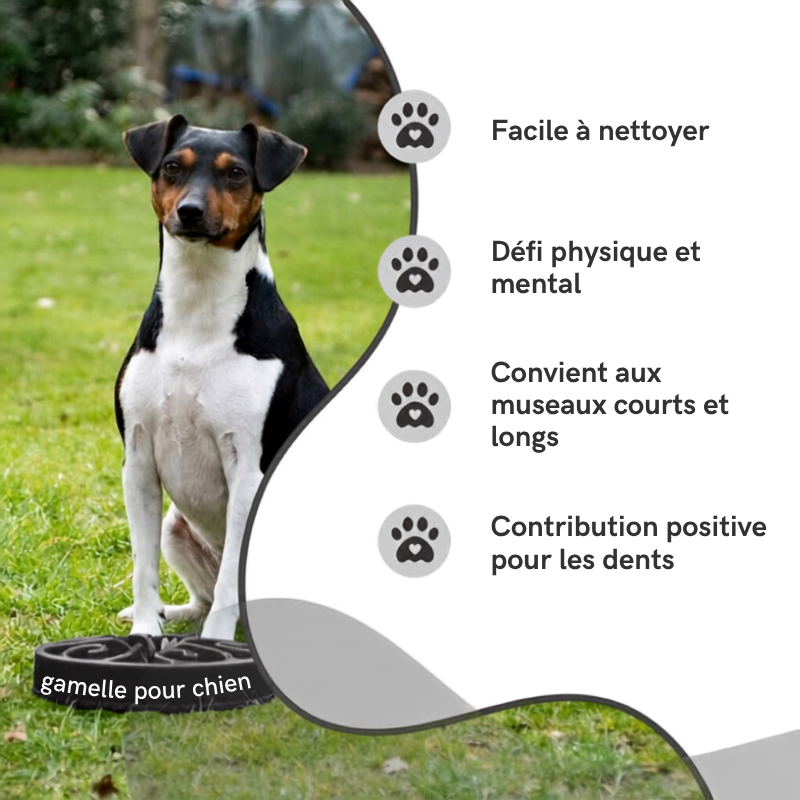 Gamelle Anti-Glouton Chien et Chat – Eat Slow Live Longer Original