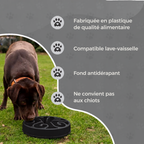 Gamelle Anti-Glouton Chien et Chat – Eat Slow Live Longer Original