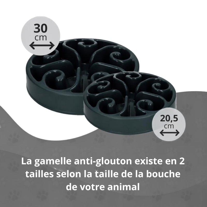 Gamelle Anti-Glouton Chien et Chat – Eat Slow Live Longer Original