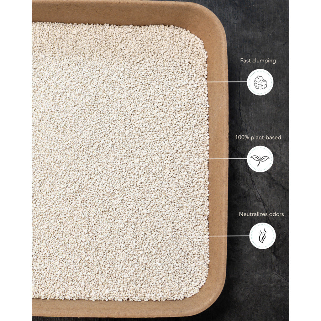 PETLUX Cassava Tofu – Litière pour chat au manioc & maïs – 3,5 kg