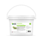 Romarin – Digestion, détox & vitalité du cheval