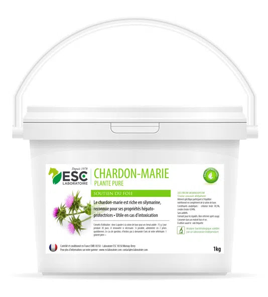 Chardon-Marie cheval – Soutien du foie & drainage naturel