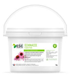 Échinacée 100 % pure – Défenses naturelles du cheval
