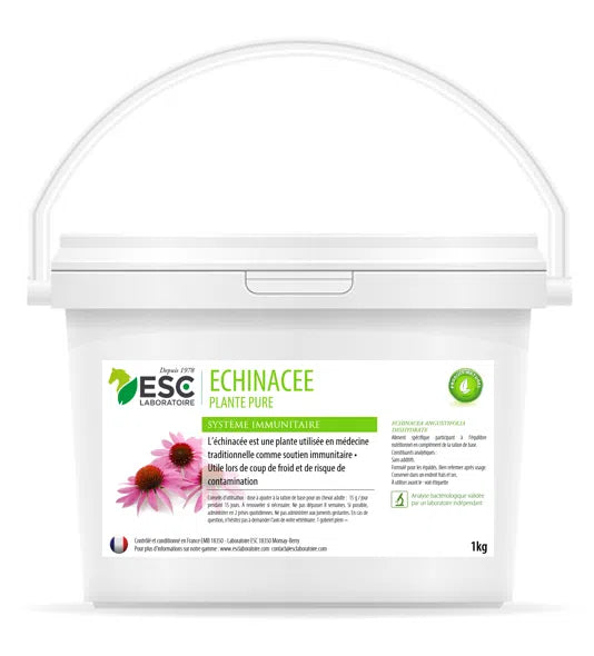 Échinacée 100 % pure – Défenses naturelles du cheval