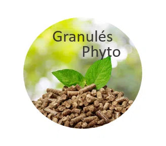 DERMAPHYT + – Anciennement Hippo Dermites – Démangeaisons & confort cutané du cheval