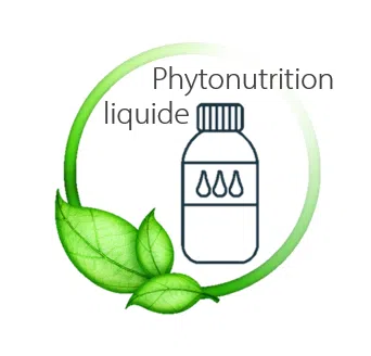 ELITOXINE – Drainage & Détox du cheval – Complément liquide aux plantes
