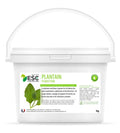 PLANTAIN – Respiration & irritations cutanées du cheval – Plante pure