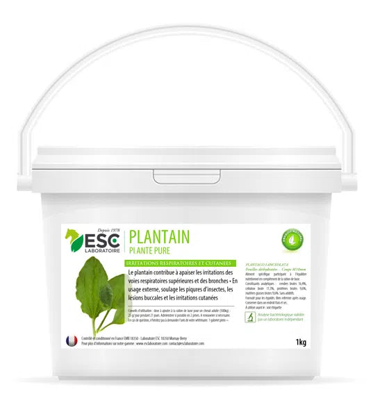 PLANTAIN – Respiration & irritations cutanées du cheval – Plante pure
